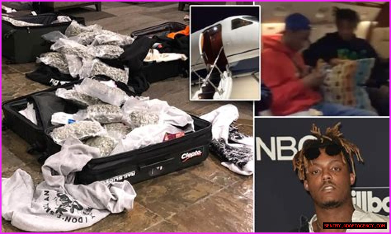 How Did Juice Wrld Dad Die? Death Cause: Mom – Siblings & Family